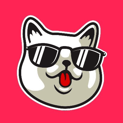 Catnip Money(CATNIP幣)有保護機製嗎