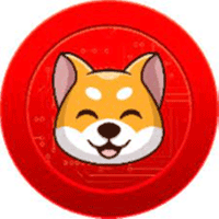 Kiba Inu BSC(KIBA幣)期權是什麽
